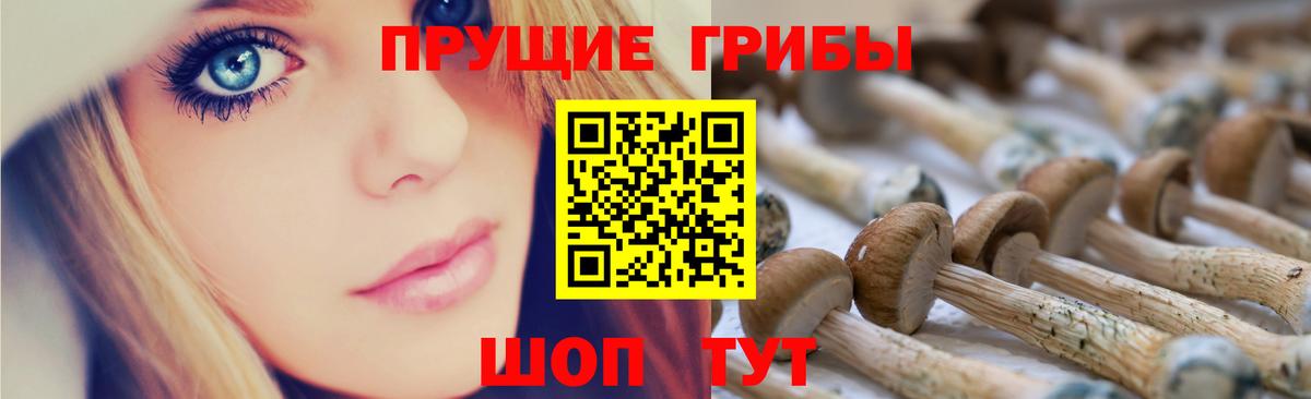 Псилоцибиновые грибы MAGIC MUSHROOMS  Вход с VPN  Воскресенск 